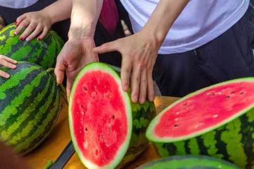 怎样能免费吃瓜最新,轻松解锁美食盛宴的秘密